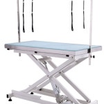 전동 대형 병원 애견 높이조절