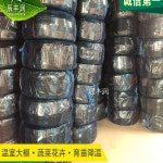 농업용 점적호스 자동물주기 과수원 원예 관계 호스