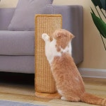 자연 사이 잘삼 고양이 Scratcher 매트 스크래치 가로 바닥 긁는 패드 깔개 소파와 카펫을 보호