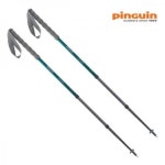 핑 8221943 Pinguin Fastrail Petrol 815184