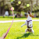 강아지 공 던지기 장난감 애견훈련기 토이 토스