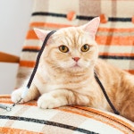 우다다맨숀 꽈배기 레더끈 낚시대