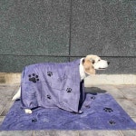 대형사이즈 애견 목욕 타월