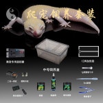 농장 게코 팩맨 아크릴 사육함 거미 양서류 사육장 스몰 사이즈 투백대 건조대 블랙메모란