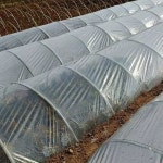 원예 농사 농업 식물 채소 재배 투명 하우스 비닐 2m x 5m