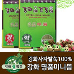 명품미니뜸 강 1박스 180개입 강화미니뜸 강화쑥뜸 뜸