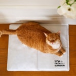 우다다맨숀 여름 냉감 쿨매트 방석