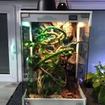 파충류 사육장 카멜레온 60 80 도마뱀 게코 케이지 스크린 비바리움