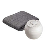 동양이지텍 스팀보이 ST213-W23 퀸