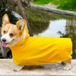 중형견 7kg까지 개옷 강아지 레인코트 우비 반려동물