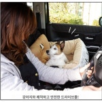 펫파라다이스 펫 파라다이스 강아지 드라이브 침대 캐들러 스누피 드라이브 캐리어 L 1개 998-55433