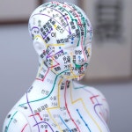 침자리 혈자리 마네킹 침구학 경락 한의학 실습 모형 교육 인체모형 한방 전신 한의원 남성 구리색