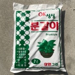 베스트하우스 1 1 OK싱싱 분갈이 흙 7L 분갈이용토 2개