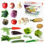 어린이집 리얼 실물 학습 야채모형 장난감세트 보육기관 수업용