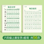 등급 텍스트 스티커 도트 매트릭스 제어 펜 훈련 언어 하드 서예 1개 2 2pcs grade 1 B