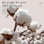 목화 솜 이불 목화솜 겨울 두꺼운 호텔 부드러운 더블 고급 사계절