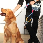 부드러운 강아지 리드줄 애견 목줄