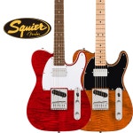 스콰이어 일렉기타 어피니티 AFFINITY TELE FMT