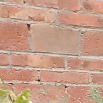 자동 타이머 사료통 농장 케이지 피더기 염소 가금류