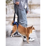 교정기 강아지 반려견 보호 노견 허리 뒷다리 움직임 푸른 색 S 3 6근소형견