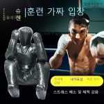 샌드백 레슬링 복싱 격투기 주짓수 마네킹 더미 도장