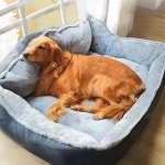 토퍼 쿠션 대형 대형견 강아지방석 집 세탁 고양이 분리형 M 70x55
