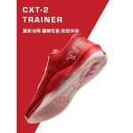 TYR 남성 종합 신발 통기성 안정성 보호 다기능 운동화 CXT-2
