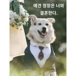 애견 정장 드레스 가짜 투피스 신사 결혼 정장 코키 시바 골든 리트리버 대형 견우룩