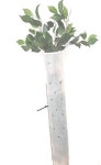 24 Miracle Tree 튜브 25
