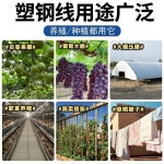 플라스틱 스틸 와이어 철사 고강도 온실 포도 원예 로프 포도밭