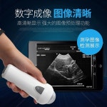 동물임신 배란 무선초음파 교배 수의사 사육 축사 테스터기 농장