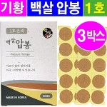 기황산업 기황 백살 압봉 - 5박스 압침봉 1호 6호 수지침