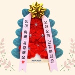 가정의달 펠트 카네이션 미니 화환 4인 만들기 DIY 키트 유치원 어린이집 방과후