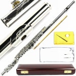 Moz Italian Pads 조각d 디자인 16 Keys Close Hole 은도색 플루트 Wood 케이스 플룻 운지법 비교 추