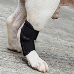 강아지 깁스 뒷다리 반려동물 비만견 1애견슬개골보호대-S
