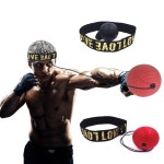 펀치 정확도와 회피 훈련 펀치볼 GS0500072C