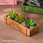 별봄샤인 빈티지 다육이 화분 가로긴화분 테라스텃밭 딸기화분 우드