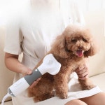 애완동물 헤어드라이어 머리말리기 강아지 강아지드라이룸 테디 면도 바람 헤어 고출력