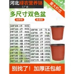 비닐포트 황토 이색포트 발육 연질화분 플라스틱화분 1 묘목 보통 500 90 구 일반 1천