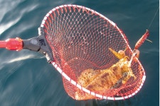 제일정공 다이 이치 정공 오토 킹 프레임 건 메타 32085 1개 38-350T