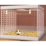 햄스터 케이지 대형 골든햄스터 목재 사육장 세트 가정용