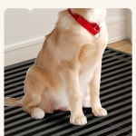 대형견 케이지 베이 A 허베이 베이징 텐진 A 암호화 모델