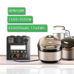 전기차급속충전기 제조업체 휴대용 태양광 발전소 DC AC 전기 자동차 3000W 배터리 1개 1500W