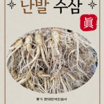 깨끗한A급 풍기인삼 600g 세척난수삼 무료택배 무료세척 6년근 5년근인삼 현대만석인삼사