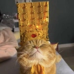 고양이 황제 모자 아이디어 개그 황제 고양이 강아지 펫 머리띠 귀여운 머리띠까지