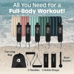 레트로스펙 열차 저항 밴드 세트 5개 핸들 운동 밴드 도어 앵커 여성 남성용 캐리백 스무디