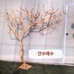 박피건가지조경건지기수건지기수건지기수건지기수건지기수건지기수건지기수목장식수