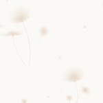 KS벽지 서울벽지 실크벽지