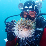 제주도 비치 체험 다이빙 스킨 스쿠버 프리 다이빙 여행