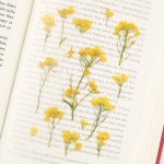 감성 인쇄 압화 스티커 유채꽃 7P 다꾸 폰꾸 꾸미기